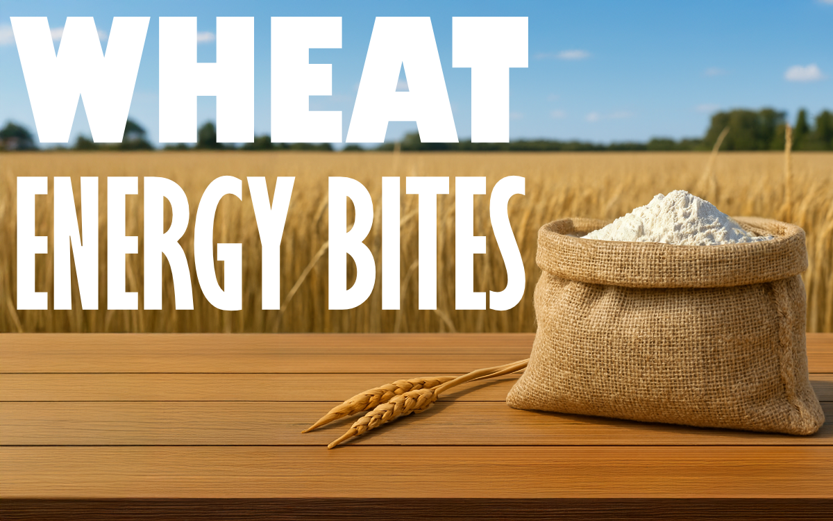 DexSteady 25g Wheat Energy Bites